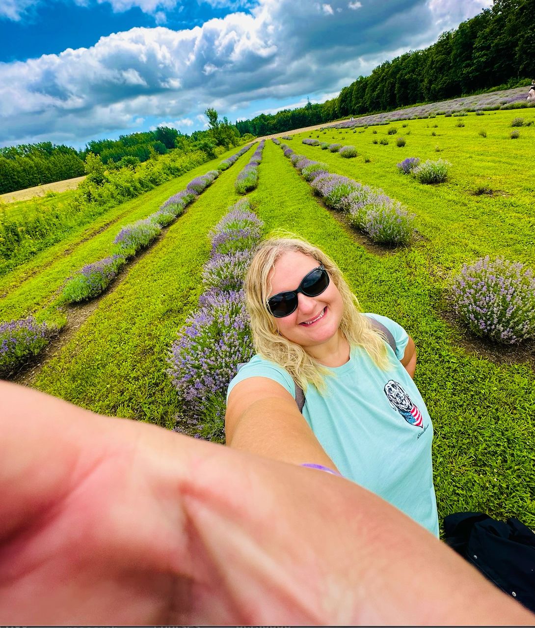 rsw:365h:365cg:true_pwj2