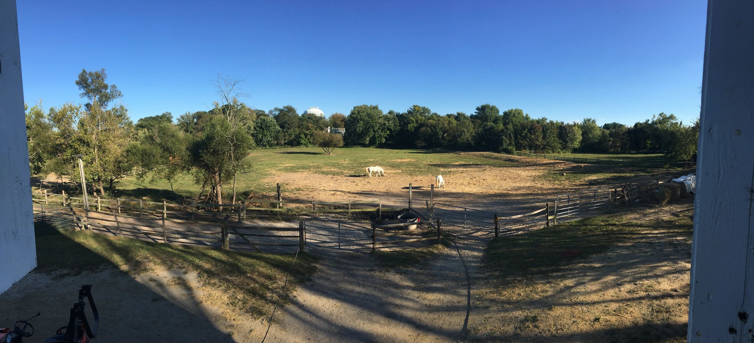 Riding Lessons and Therapeutic Riding Majoda Stables