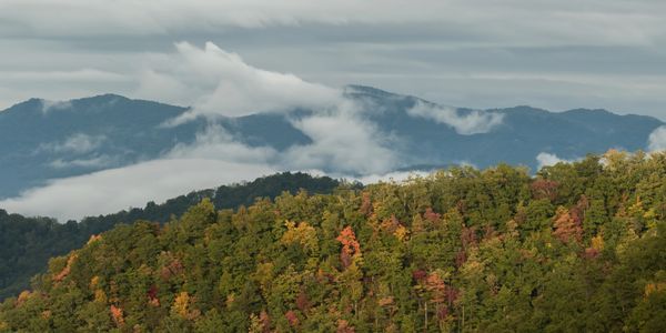 Misty clouds hover over colorful autumn trees on a mountain ridge.