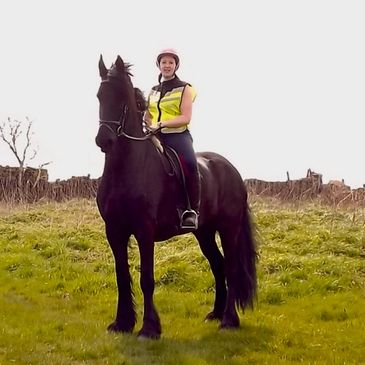 Horse and rider on nearby bridleway
