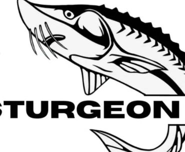 Black and white stylized sturgeon fish logo with "STURGEON 10" text.