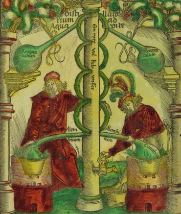 Alchemical Drawing illustrating the process of Transmutation and spiritual refinement
