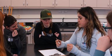 Unique team events for students