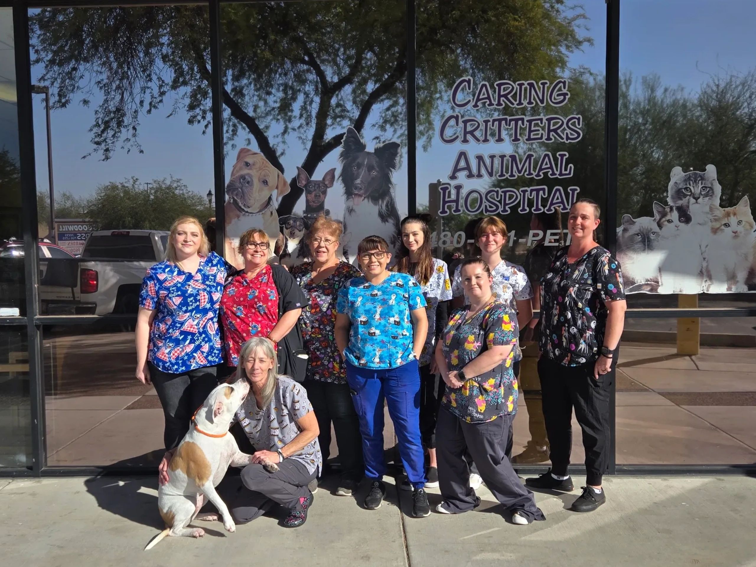 Caring Critters Animal Hospital gallery