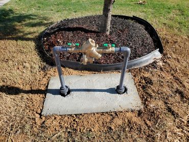 Backflow Device w/ Riser