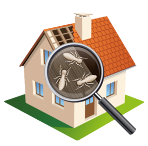 WDO, Wood destroying organism, Termite Inspection.