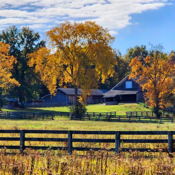 near, me, country, barn, barns, country, manhattan, rustic, romantic, unique, foodie, catering