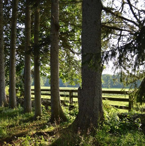 near, me, hudson valley, manhattan, barn. rustic, romantic, private, farm, farmhouse, country