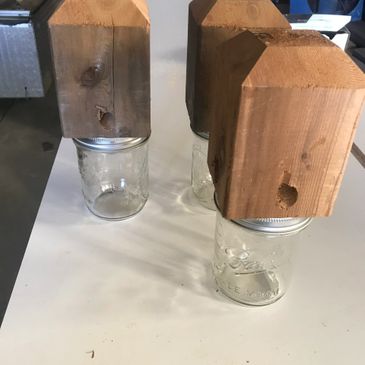 Carpenter bee traps