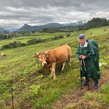 A women with a cow on a rainy day. Camino de Norte, Spain