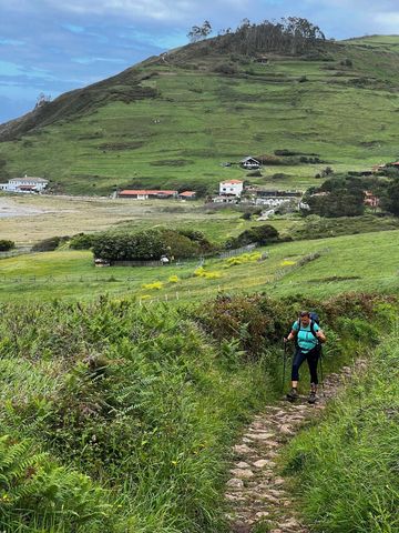A day of hiking on the Camino del Norte. A woman walking with hiking poles, green fields and hills s