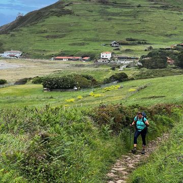 Women walking with hiking poles, surrounded by greenery. Camino de Santiago, Spain. 