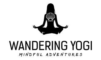 Wandering Yogi
