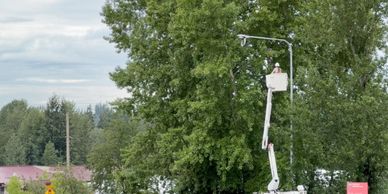 PSE finally fixed a dozen broken streetlights on 195th ST after Rachel Best-Campbell spoke out.