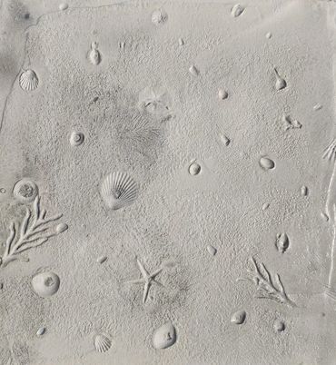Custom Stamped Concrete of seashells installed by RockSolid Custom Concrete in Sunrise beach at the