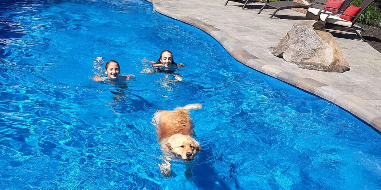 Two girls and a dog swimming in a bright blue pool.
