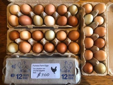 Farm fresh eggs on Salt Spring Island