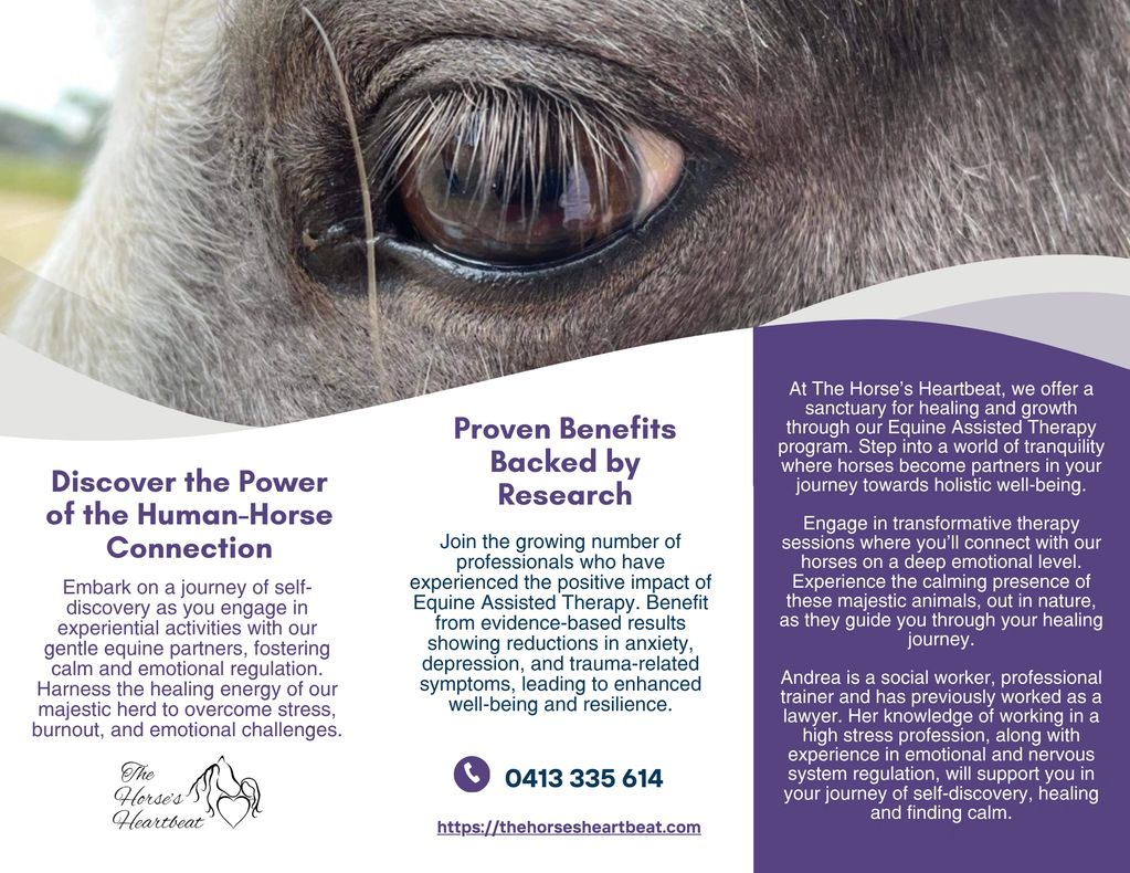 Horse Therapy for lawyers and professional development in Melbourne, Geelong and Western Victoria.