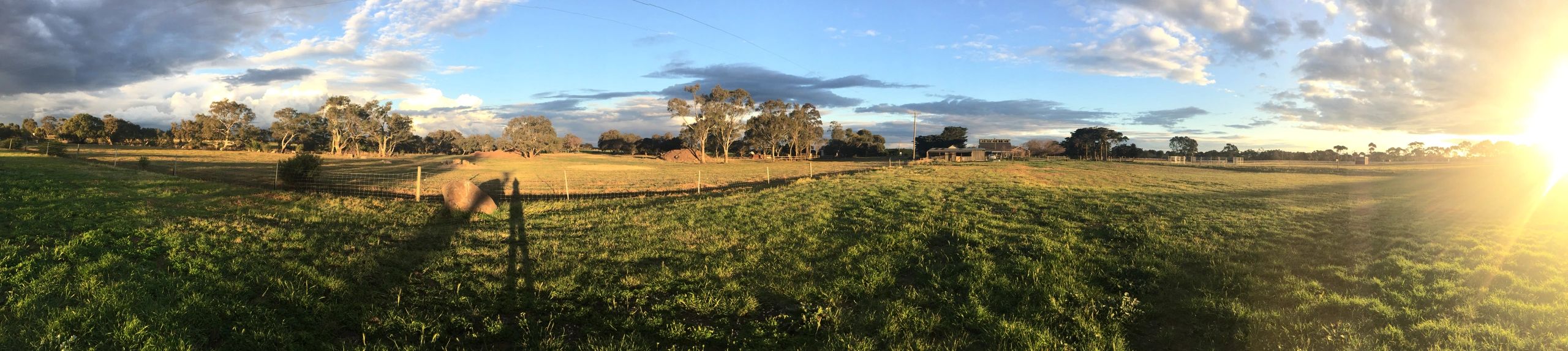 Little River, Victoria. The Horse's Heartbeat. Corporate team building. Equine therapies.