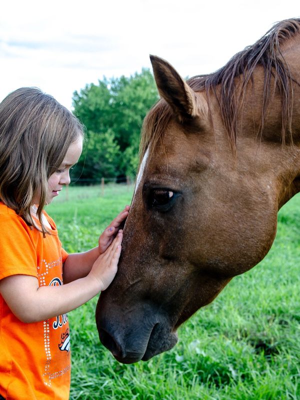 Therapy horse working with children for learning and mental wellbeing.