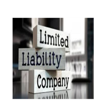 Limited Liability Company Sarasota Manatee County