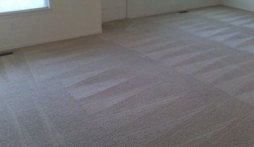 Clean and fresh carpet
