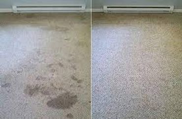 Pet stains? No problem!