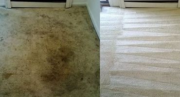Carpet, before and after