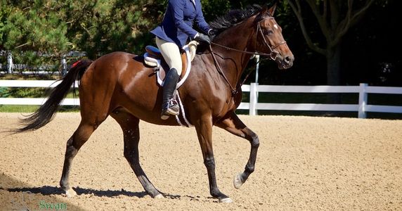 Photo credit Swan Studio LLC