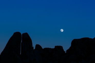 Moonrise, full moon, rocky silhouette, Mojave Desert, blue sky, Joshua Tree National Park
