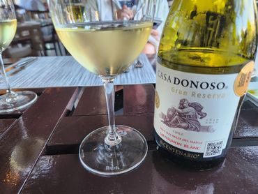 Frankie & I both loved the Chilean wines and they were so inexpensive!