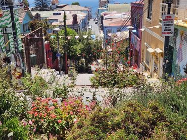 Valapariso is very hilly with views of the Pacific Ocean. It is GORGEOUS!