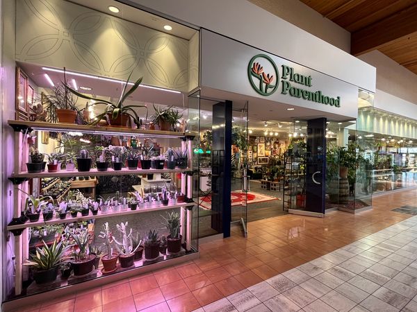 Plant Parenthood, LLC outside