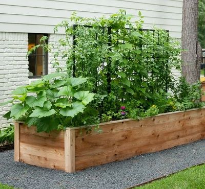 A cedar raised bed garden. Vacation garden services will keep your garden healthy and productive.