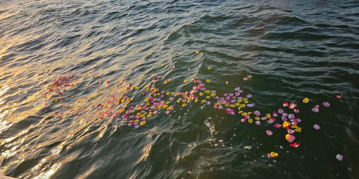 Burial at sea service beautiful flower pedals floating in the ocean honoring your loved ones