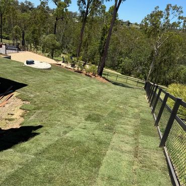 Newly laid sod on a sloped backyard with trees and a fence.