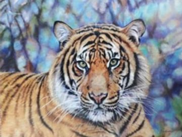 Tiger. Fiona Anderson. Print On Demand.