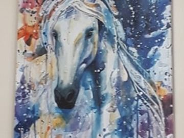 Colourful Horse Portrait Canvas.