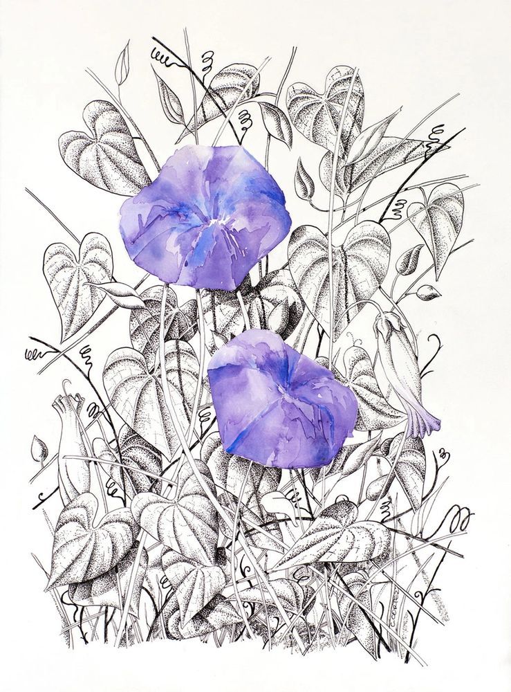image59