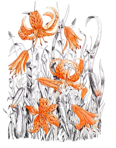 Celia Cortez commission piece of Tiger Lilies