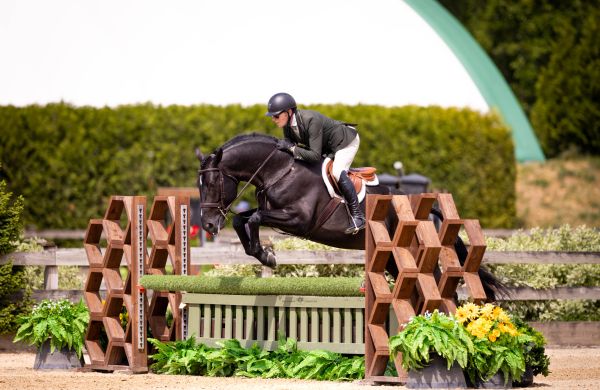 Equestrian rider and horse jumping over an obstacle in competition.