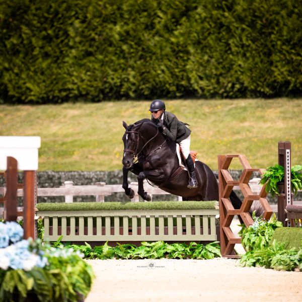 Rider and horse gracefully jump over an obstacle in a show jumping event.