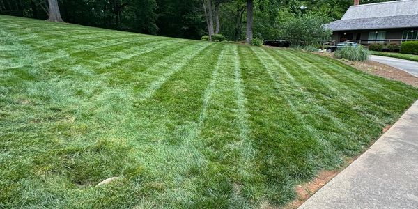 Freshly mowed green lawn with striped patterns.
