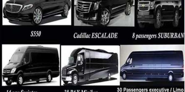 mia-van-service-miami-limo-service-car-service-in-miami-sprinter-service-miami-van-service-near-me