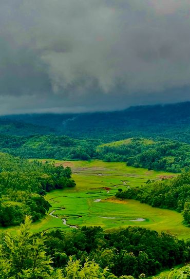 A scenic view from the bubble glamp, Luxeglamp resort