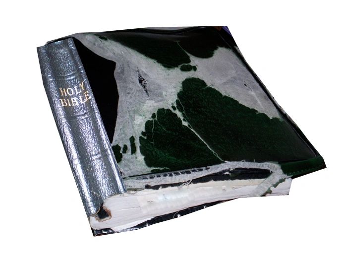 HOLY BOOK!