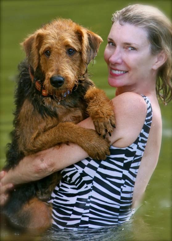 We bought a female Airedale puppy from you in late February.   I just
wanted to tell you this is