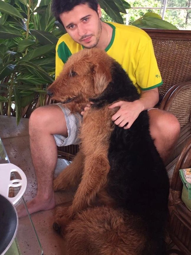 Brazilian Airedale