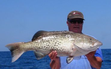 Grouper Caught caught with a Barefoot Crab Decoy Jig