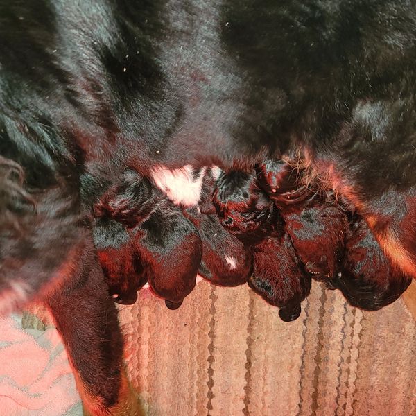 Feeding time